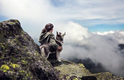Hund und Berge
