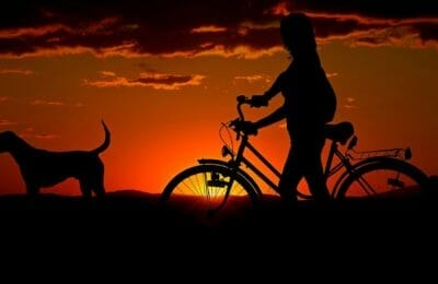 Fahrrad fahren mit Hund