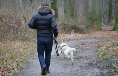 Wildert mein Hund im Wald?