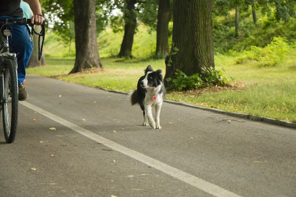 Radfahrer