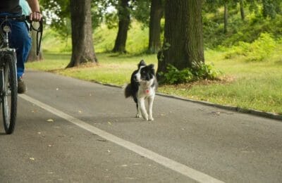 Radfahrer