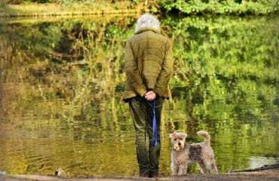 Senioren als Hundehalter