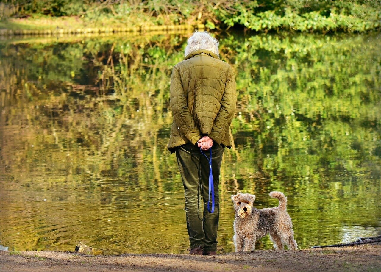 Senioren als Hundehalter