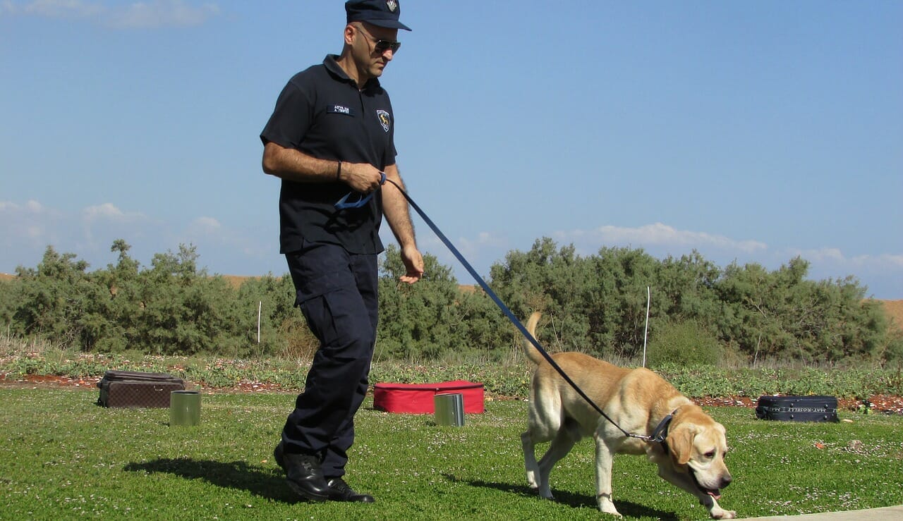 Der Drogenspürhund