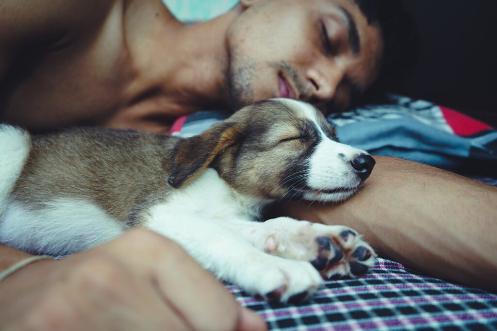 Co-Sleeping mit dem Hund