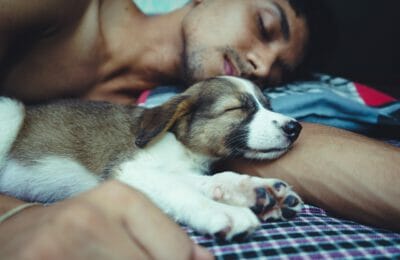 Co-Sleeping mit dem Hund