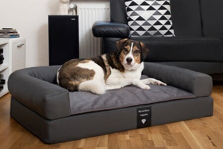 Hundebett Medical exklusive Style