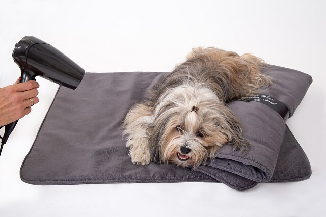 Exklusive Hundedecken