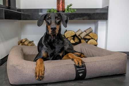 Hundebetten pflegeleicht, orthopädisch