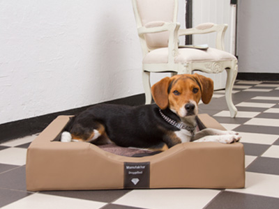 Orthopädisches GEL-Hundebett Orthopädisches GEL-Hundebett