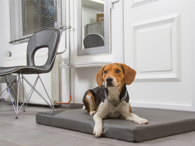 Orthopädische Hundematte Orthopädische Hundematte