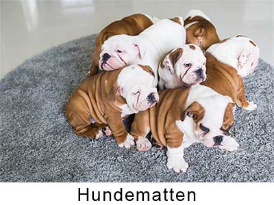 Orthopädische Hundematten Orthopädische Hundematten