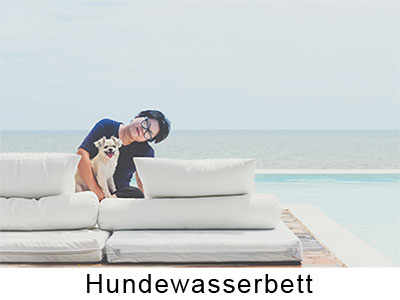 Hundewasserbett Hundewasserbett