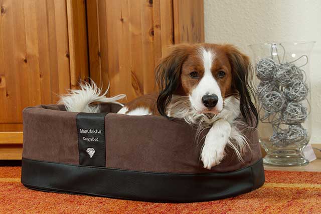 Hundekörbchen Paddy Style