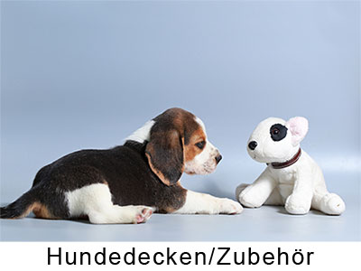 Hundezubehör/Sonderanfertigungen Hundezubehör/Sonderanfertigungen
