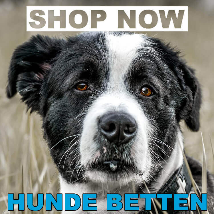 Orthopädische Hundebetten