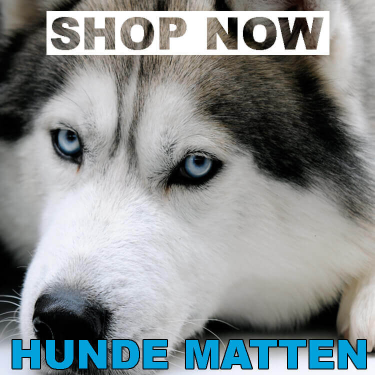 Orthopädische Hundematten