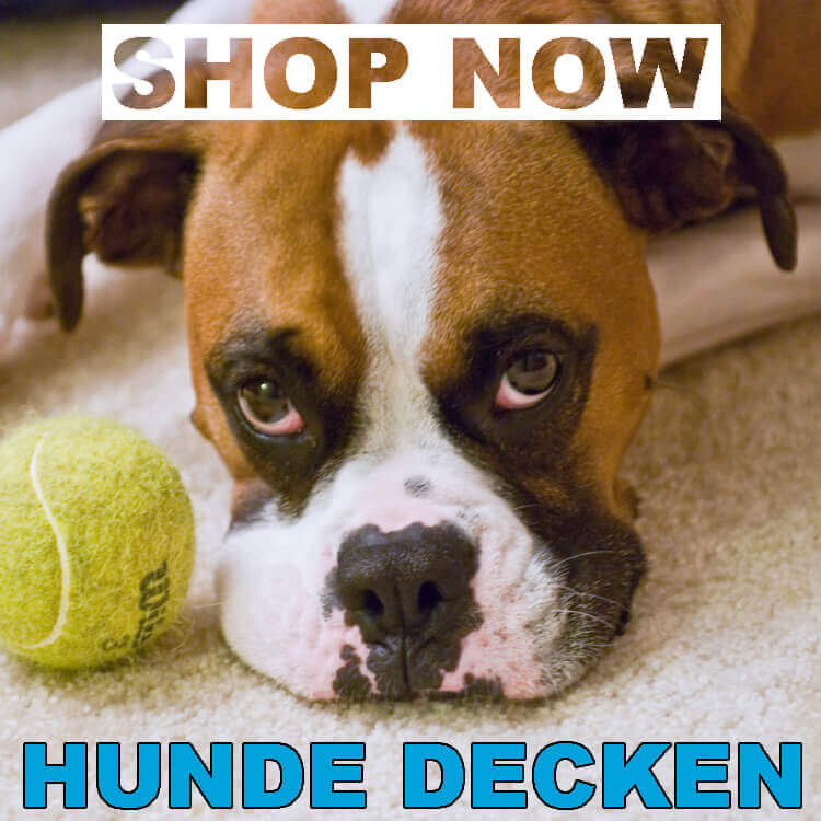 Hundedecken
