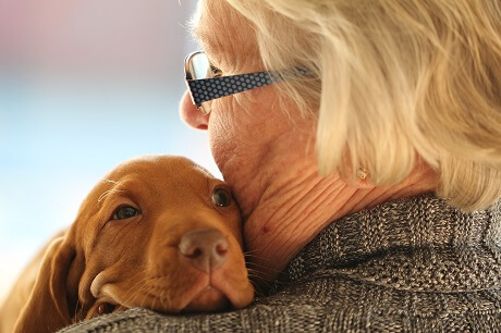 Gel-Hundebetten - hochwertige Qualität Gel-Hundebetten - hochwertige Qualität
