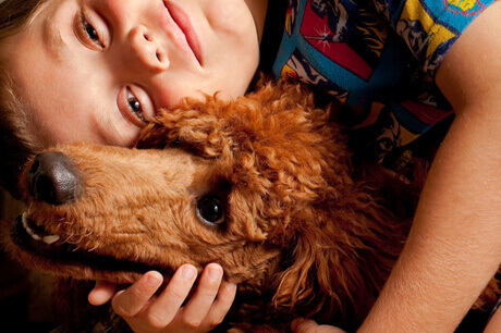 Kleine gesunde Hundebetten Kleine softe Hundebetten