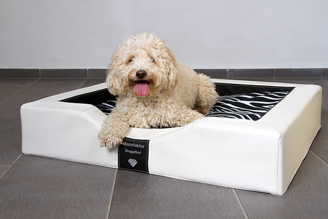 GELAX® - Hundebett Compact Style 