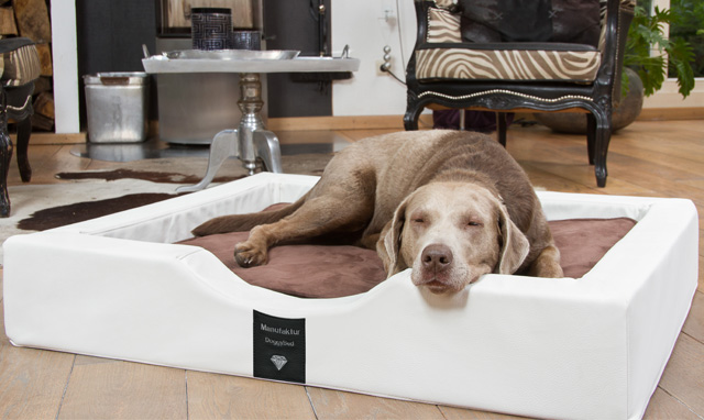 DoggyBed Hundebett Visko Compact Style