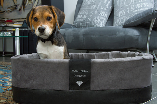Orthopädischer Hundekorb Paddy Style 55x42x18cm grau Mikrofaser Edler Hundekorb Paddy Style