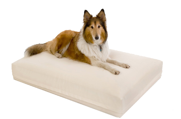 DoggyBed ® Aqua Style hell beige