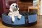 Preview: Hundekorb Paddy blau/schwarz mit Hund