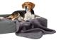 Preview: Beagle mit nachhaltiger Hundedecke