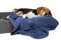 Preview: Beagle mit nachhaltiger Hundedecke