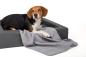 Preview: Beagle mit nachhaltiger Hundedecke