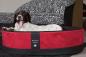 Preview: Hundekorb Paddy rot/schwarz mit Hund