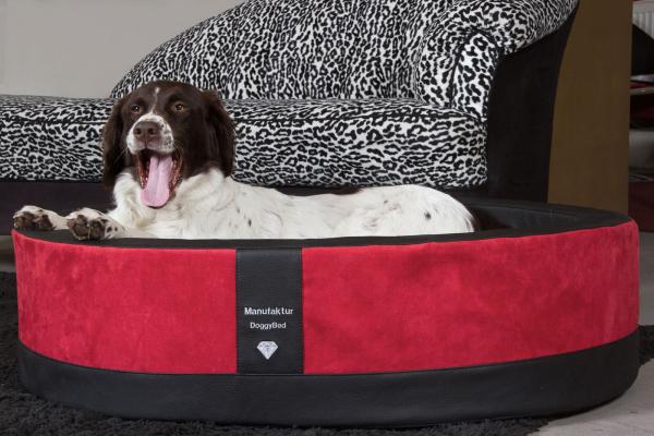 Hundekorb Paddy rot/schwarz mit Hund