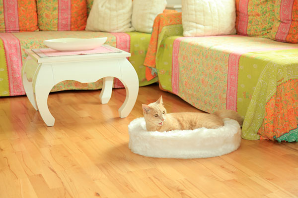 CatBed® Dream Style