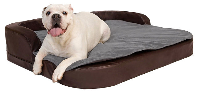 Hundekissen DoggyBed® Medical Style