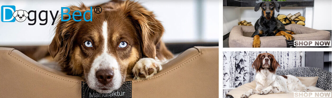Hundebetten & Hundedecken