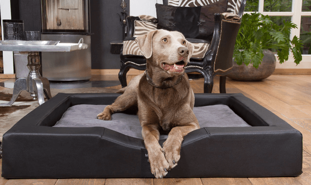 Hundebett Visko Compact Style Hundebett Visko Compact Style