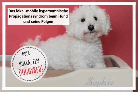 Orthopädisches GEL - Hundebett Compact Style